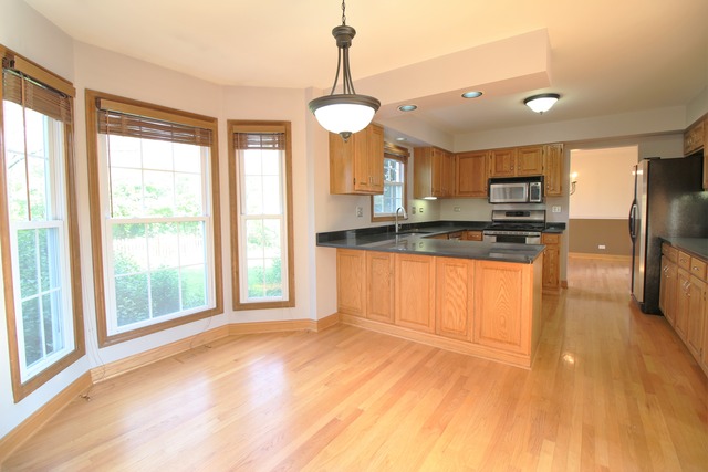 1464 Polo Dr, Bartlett, IL 60103 photo 5