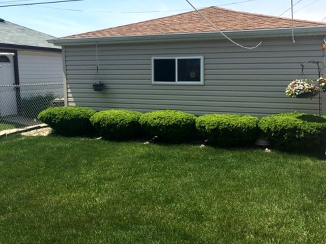 7716 Massasoit Ave, Burbank, IL 60459 photo 23