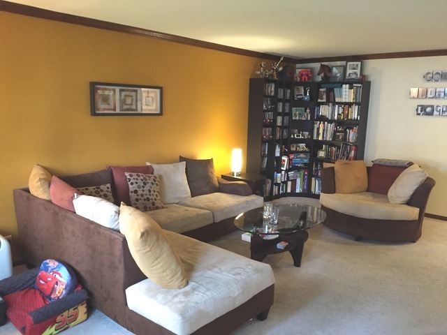 457 W Green Dr, Wheeling, IL 60090 photo 9