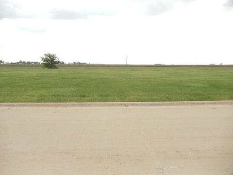 207 Julie Dr, Dwight, IL 60420 photo 2