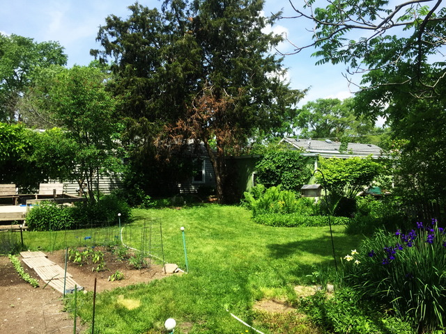 608 S Sumner Ave, Aurora, IL 60505 photo 15