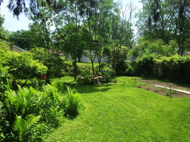 608 S Sumner Ave, Aurora, IL 60505 photo 14