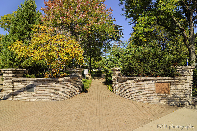 1007 Lexington St, Wheaton, IL 60187 photo 24