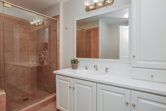 1007 Lexington St, Wheaton, IL 60187 photo 14
