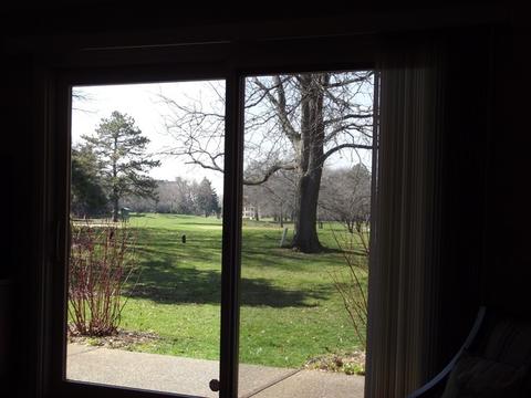 1650 Mission Hills Rd, Northbrook, IL 60062 photo 24