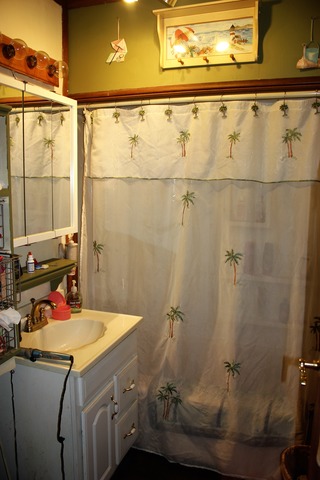 132 S Summit St, Wheaton, IL 60187 photo 6