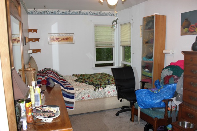 132 S Summit St, Wheaton, IL 60187 photo 9