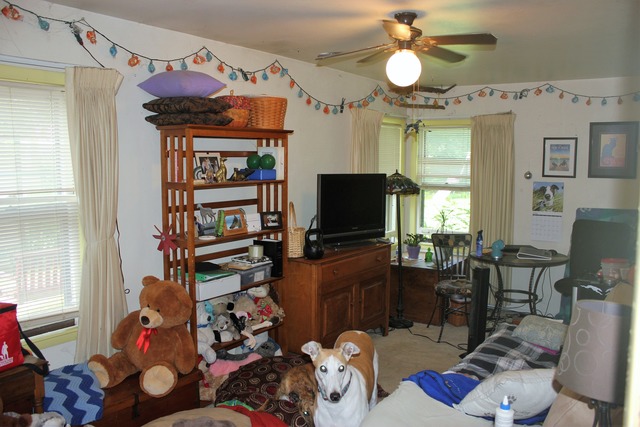 132 S Summit St, Wheaton, IL 60187 photo 10