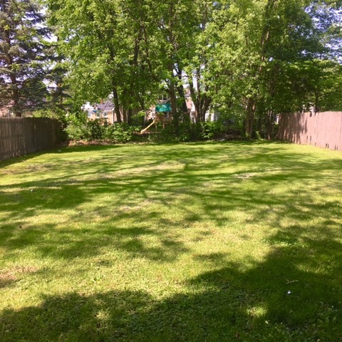 722 4th Ave, Aurora, IL 60505 photo 3