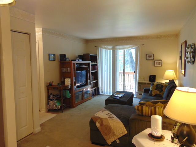 2000 Light Rd #209, Oswego, IL 60543 photo 11