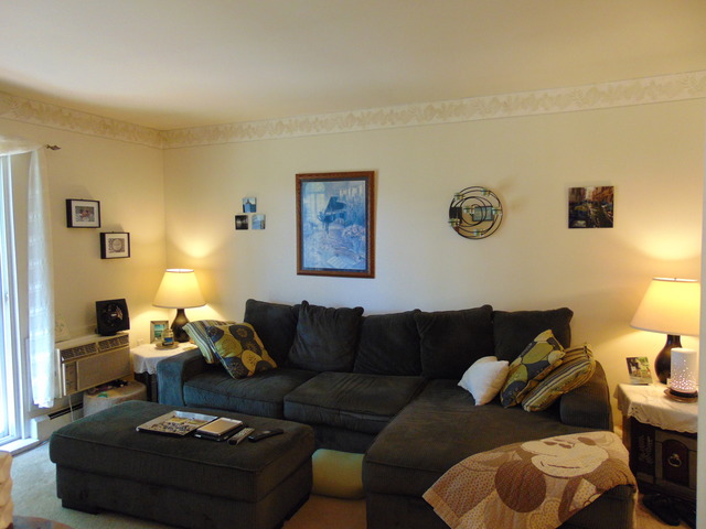 2000 Light Rd #209, Oswego, IL 60543 photo 8