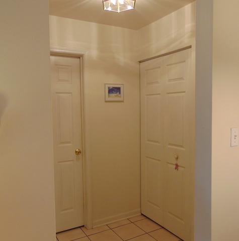 2000 Light Rd #209, Oswego, IL 60543 photo 20