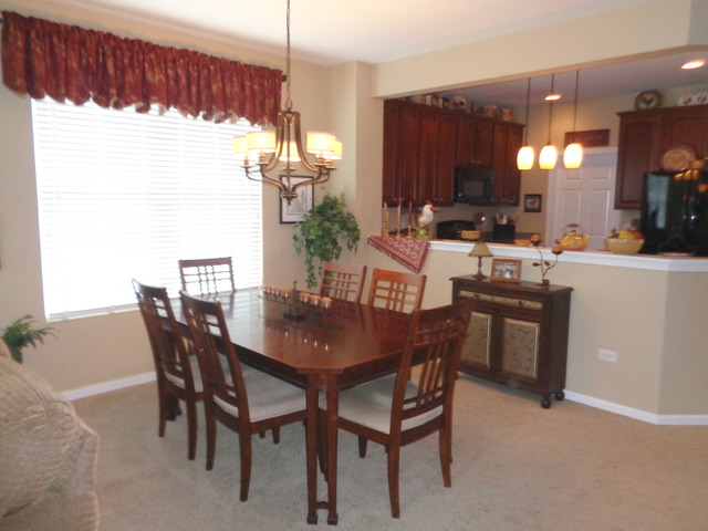 2881 Cascade Falls Cir, Elgin, IL 60124 photo 8