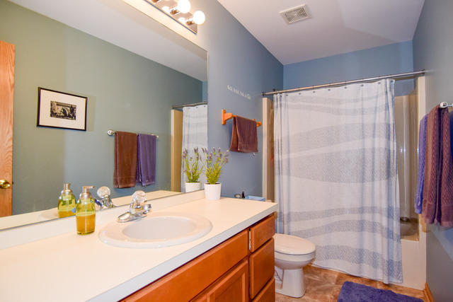 2311 Timber Trl, Plainfield, IL 60586 photo 19