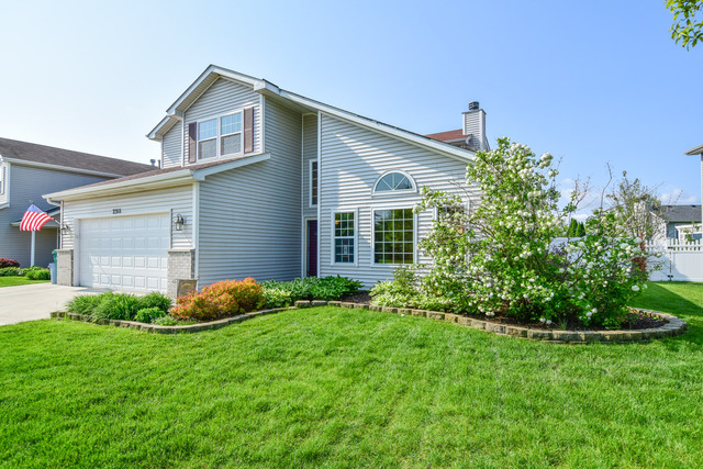 2311 Timber Trl, Plainfield, IL 60586 photo 1