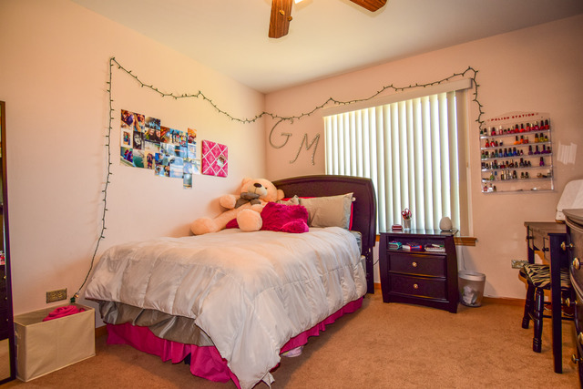 2311 Timber Trl, Plainfield, IL 60586 photo 17