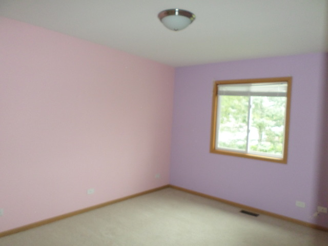 3137 Carpenter St, Steger, IL 60475 photo 7