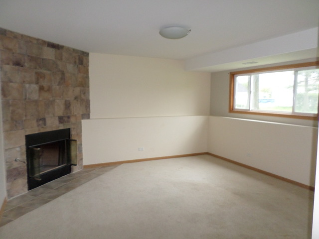 3137 Carpenter St, Steger, IL 60475 photo 9