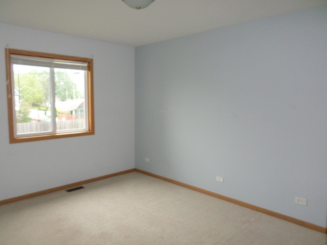 3137 Carpenter St, Steger, IL 60475 photo 5