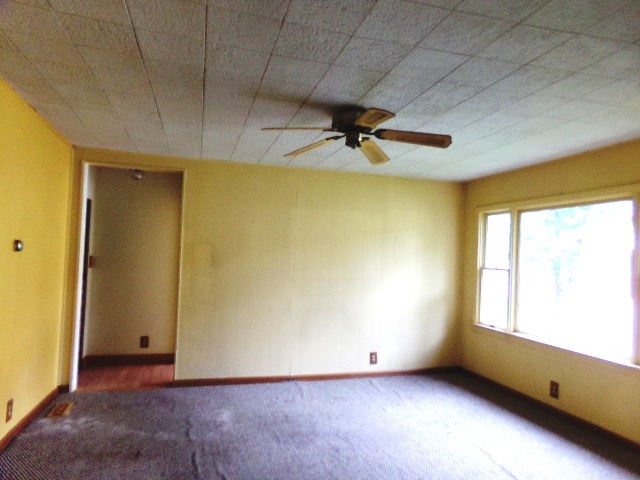 244 S Alma Ave, Kankakee, IL 60901 photo 4