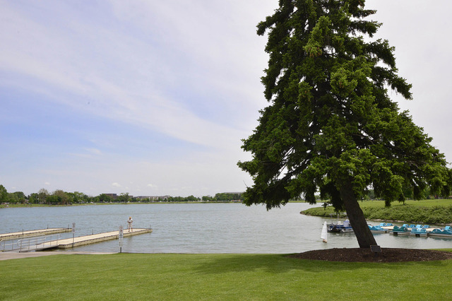 1072 Irwin Ave, Des Plaines, IL 60018 photo 22