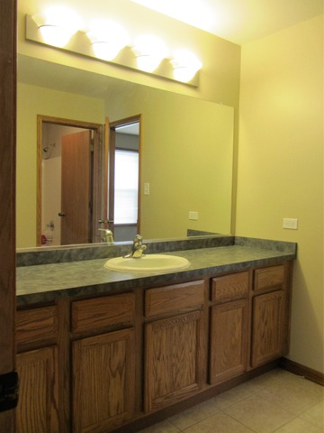 1406 Sky View Ln, Beecher, IL 60401 photo 20