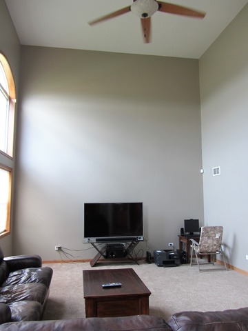 1406 Sky View Ln, Beecher, IL 60401 photo 5