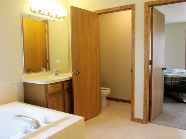 1406 Sky View Ln, Beecher, IL 60401 photo 15