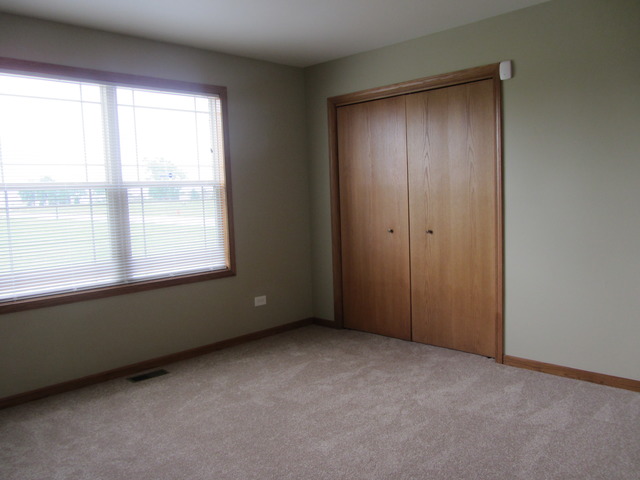 1406 Sky View Ln, Beecher, IL 60401 photo 22