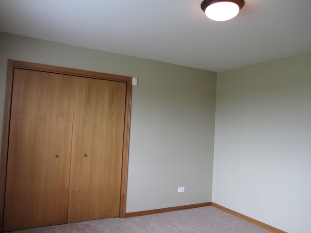 1406 Sky View Ln, Beecher, IL 60401 photo 23