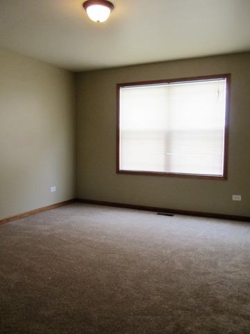 1406 Sky View Ln, Beecher, IL 60401 photo 17