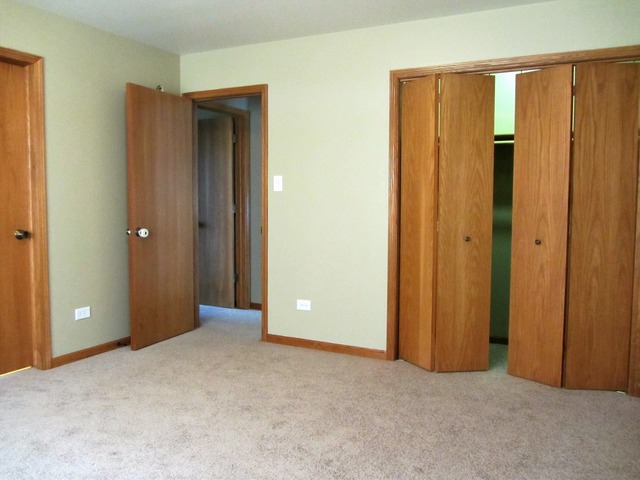 1406 Sky View Ln, Beecher, IL 60401 photo 18