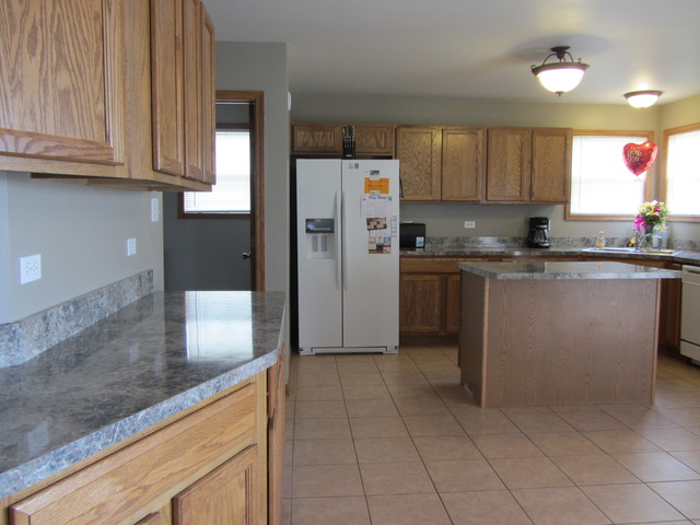 1406 Sky View Ln, Beecher, IL 60401 photo 8