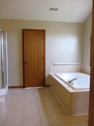 1406 Sky View Ln, Beecher, IL 60401 photo 13