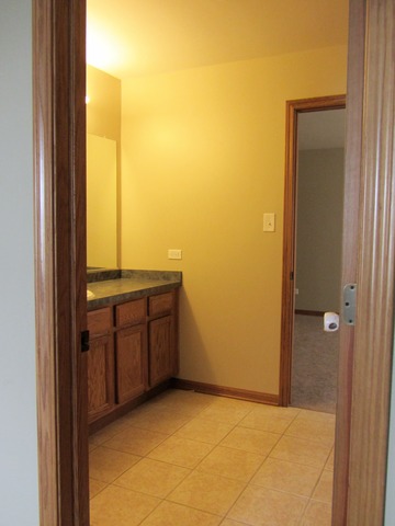 1406 Sky View Ln, Beecher, IL 60401 photo 21