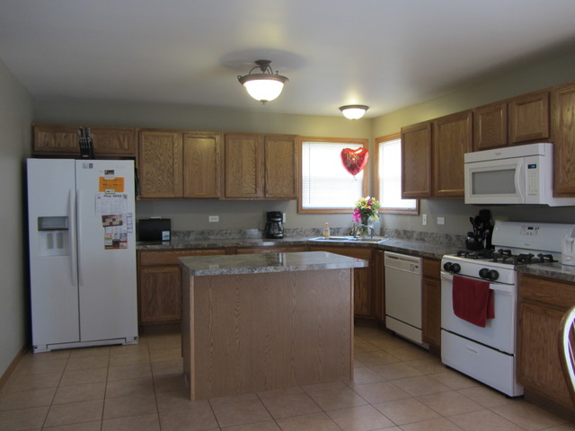 1406 Sky View Ln, Beecher, IL 60401 photo 6