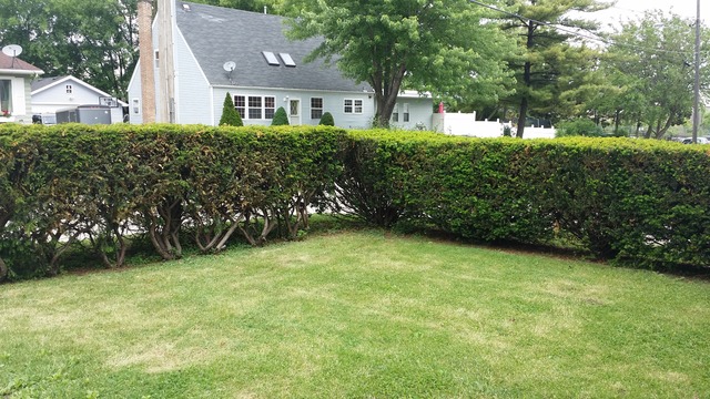4215 Division St, Hillside, IL 60162 photo 2