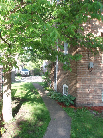 4208 Konrad Ave, Lyons, IL 60534 photo 17