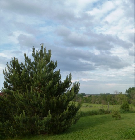 3737 W Pauling Rd, Monee, IL 60449 photo 19