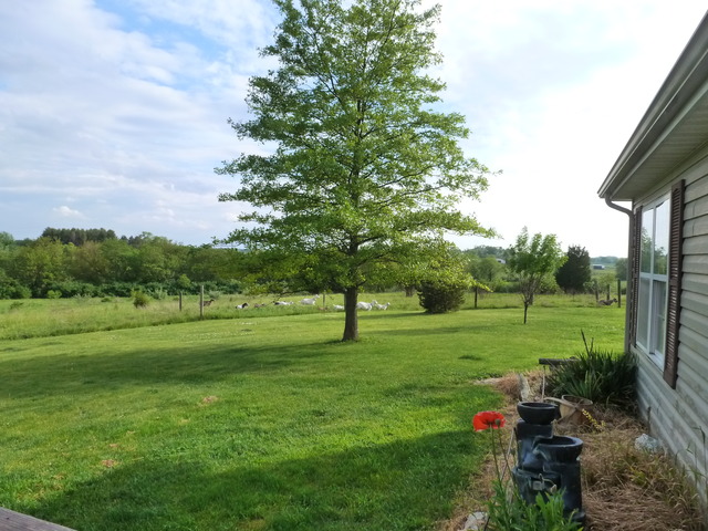 3737 W Pauling Rd, Monee, IL 60449 photo 3