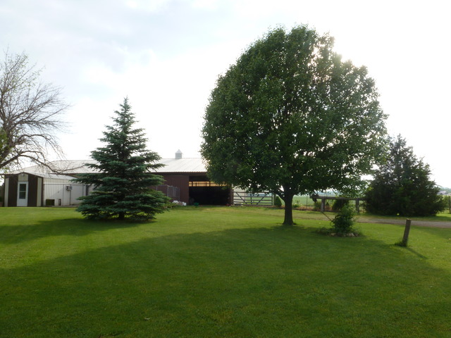 3737 W Pauling Rd, Monee, IL 60449 photo 2