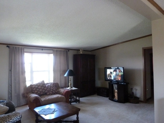 3737 W Pauling Rd, Monee, IL 60449 photo 7