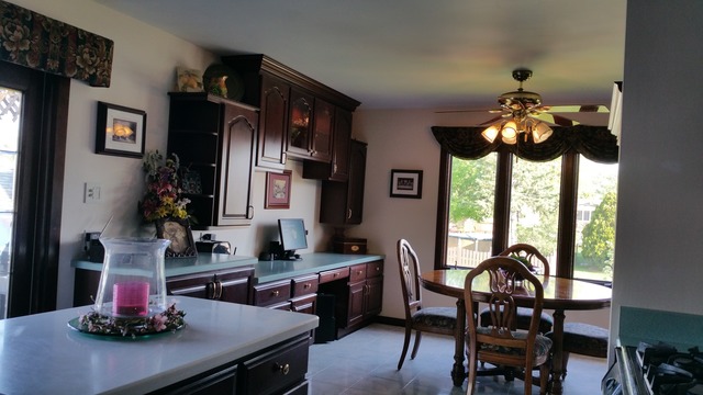 6316 Forestview Dr, Oak Forest, IL 60452 photo 3