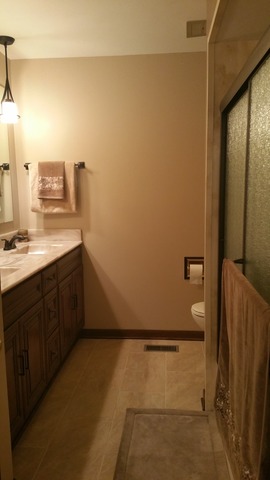6316 Forestview Dr, Oak Forest, IL 60452 photo 11
