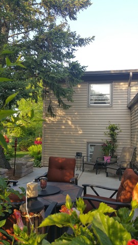 6316 Forestview Dr, Oak Forest, IL 60452 photo 18