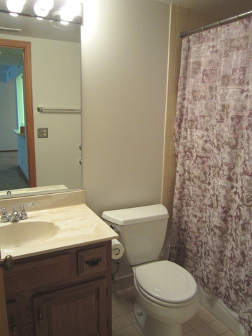 555 S River Rd #506, Des Plaines, IL 60016 photo 12