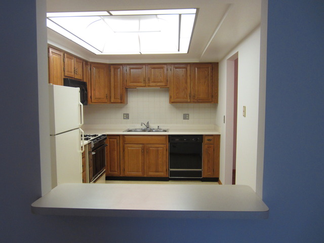 555 S River Rd #506, Des Plaines, IL 60016 photo 7