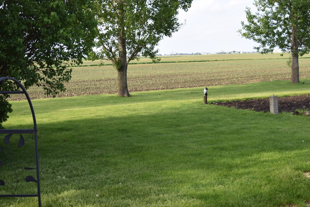 16152 University Rd, Malta, IL 60150 photo 23