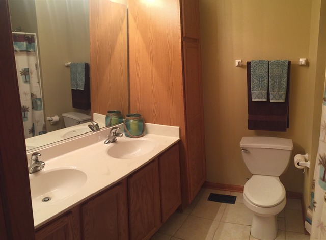 1637 Manor Oaks Dr, Plainfield, IL 60586 photo 20