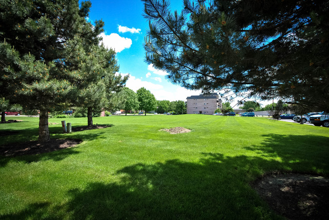 1724 Pershing Ave, Wheaton, IL 60189 photo 23